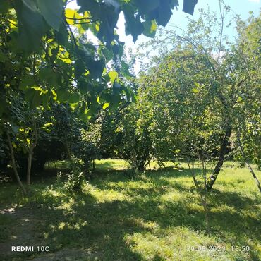 Torpaq sahələrinin satışı: 25 sot, Kupça (Çıxarış) -da lalafo.az — 6 Torpaq sahələrinin satışı: 25 sot, Kupça (Çıxarış) — 6