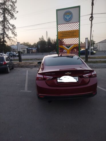 по всем вопросам обращаться по номеру: Chevrolet Malibu: 2019 г., 1.3 л, Автомат, Бензин
