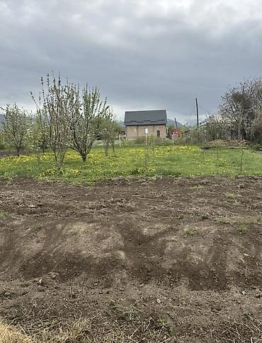 комм: 10 соток, Курулуш, Кызыл китеп — 4