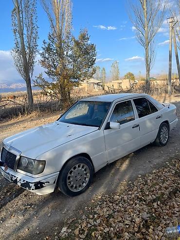Mercedes-Benz E-Class: 1991 г., 2.3 л, Механика, Бензин, Седан