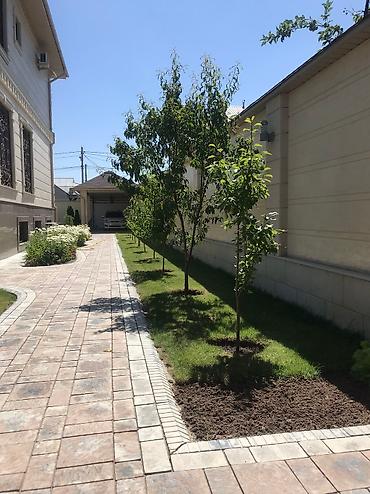 Другие стройуслуги: Сеем газон!☘️☘️ Посев газона🍀🍀 Косим газон🌱🌱 Травим — 9