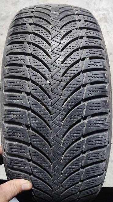 Транспорт: Шины 185 / 55 / R 15, Всесезонная, Б/у, 1 шт, Легковые, Корея, Nexen — 1