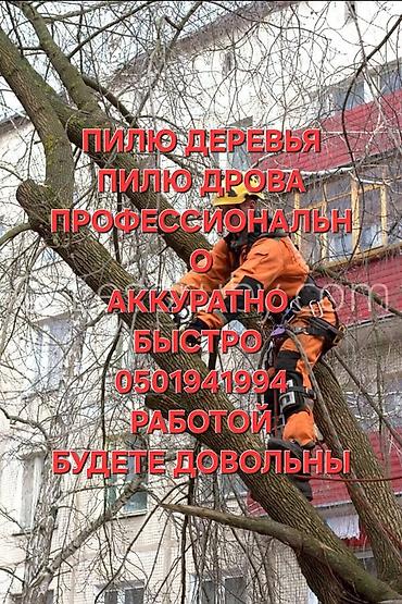 чпу мдф: Профессиональные услуги по спилу деревьев и распиловке дров. - Спил — 1
