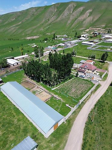ферма купить: Кошара, 50 соток, Действующий, Частично с оборудованием, Электричество, Канализация, Отопление — 6