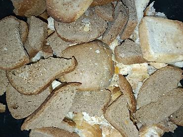 собаки рынок в бишкеке цены: Продаю на корм животным, хлеб свежий, просрочка по 14 сом кг — 1