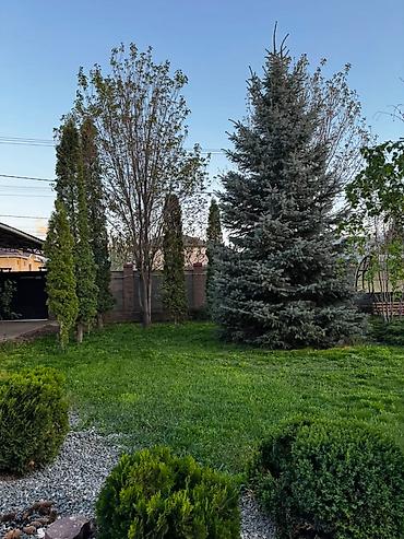 контейнерный модул: 250 м², 6 комнат и более — 5