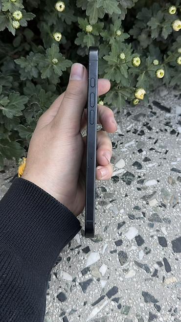 купить айфон 11 про в бишкеке: IPhone 15 Pro Max, Б/у, 256 ГБ, Black Titanium, Зарядное устройство, Защитное стекло, Чехол, В рассрочку, 89 % — 7