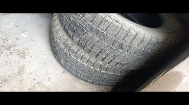 купить грузовые шины: 5000 сом lalafo.kg да купить грузовые шины: 5000 сом