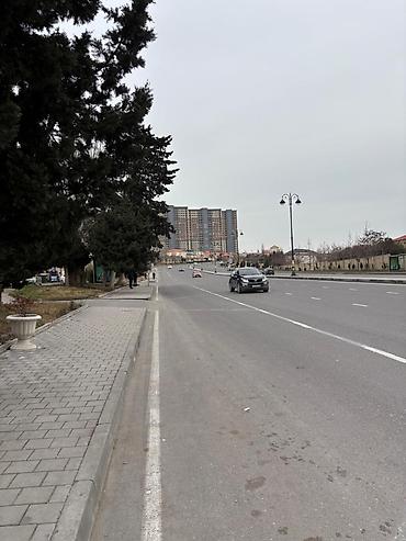 genclik: 3 otaqlı, 65 kv. m, Yeni təmirli — 2