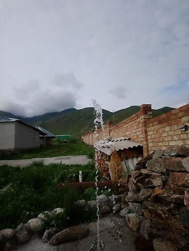 Туристические услуги: Кымызолечение в Чоң-Кемине🏔 130км от Бишкека🛣 Хорошие условия — 9