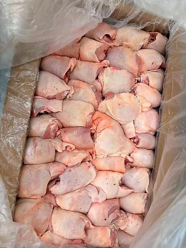 Qida məhsulları: Marağlananlar nömrəylə əlaqə saxlasın gündəlik halal kəsimdir — 2