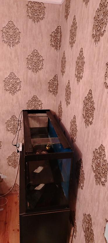 akvarium baliq novləri: Böyük ölçülü şüşə akvarium + şkaf dəsti - Ölçü: 120 sm uzunluq, 50 — 5