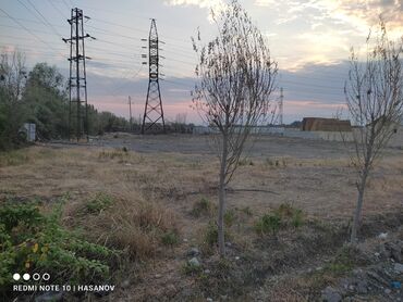 бизнес: 50 sot, Biznes üçün, Mülkiyyətçi, Kupça (Çıxarış)