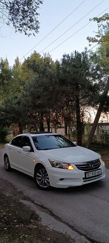 Продажа авто: Honda Accord: 2012 г., 2.4 л, Автомат, Бензин, Седан — 3