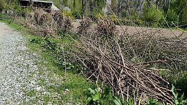 Дрова: Дрова Тополь, Самовывоз — 9