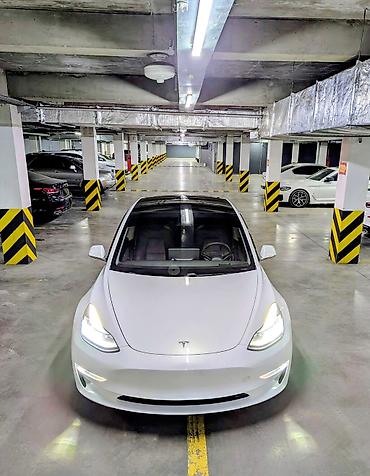 Tesla: Tesla Model 3: 2021 г., 6.3 л, Автомат, Электромобиль, Седан — 1
