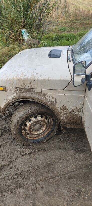 дишовый машины: ВАЗ (ЛАДА) 4x4 Нива: 1990 г., 1.6 л, Механика, Бензин