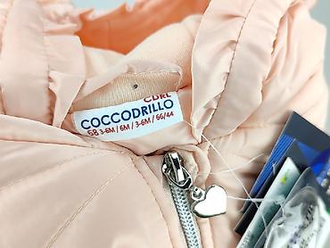 bluza z okiem: Kurtka, Coccodrillo, 3-6 miesięcy, stan - Idealny — 4