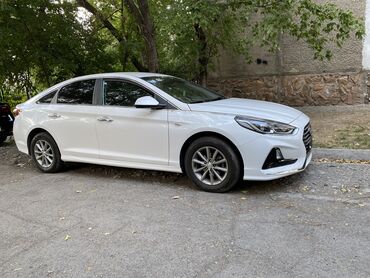 соната: Hyundai Sonata: 2017 г., 2 л, Автомат, Газ, Седан