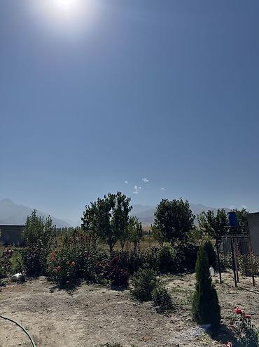 каракол кыймылсыз мулк: 10 соток, Курулуш, Кызыл китеп — 2