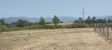 Torpaq sahələrinin satışı: 6 sot, Tikinti, Kupça (Çıxarış) -da lalafo.az — 11 Torpaq sahələrinin satışı: 6 sot, Tikinti, Kupça (Çıxarış) — 11