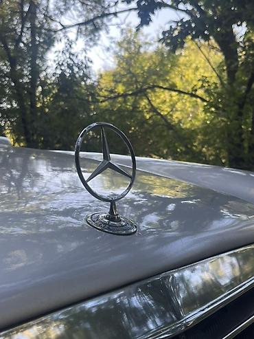 mersedes e class: Mercedes-Benz E-Class: 1996 г., 4.2 л, Автомат, Газ, Седан — 7