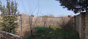 ev mastaga: 6 sot, Tikinti, Mülkiyyətçi, Bələdiyyə — 8