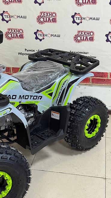 devo tiko: TAO MOTOR HUNTER 125 — современный подростковый квадроцикл для — 6