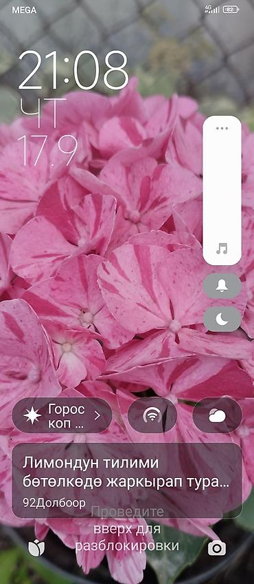 Вейгела: Саженцы Самовывоз — 6