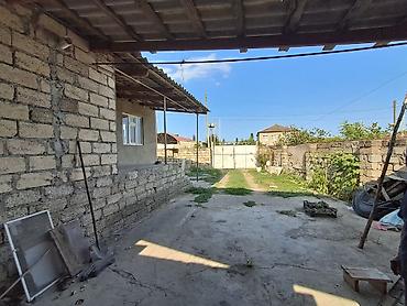 seki torpaq: 52 sot, Kənd təsərrüfatı, Kupça (Çıxarış) — 4