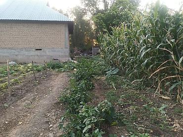 Продажа коттеджей и домов: Продаётся дом село Полтавке в одном участке два дома 1ый дом полтора — 15