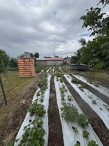 the level: ✨Продаётся дом в с. Сокулук (район Церкви)✨ 🏡Характеристики — 5