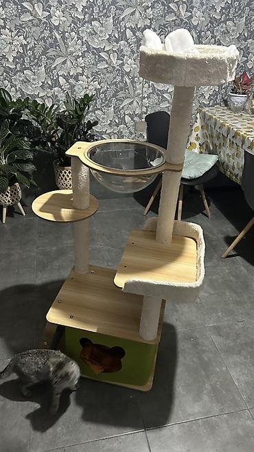 Многоуровневый игровой комплекс для кошки с домиком, лежанками и at lalafo.kg Многоуровневый игровой комплекс для кошки с домиком, лежанками и