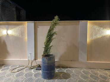 Həyət evləri və villaların satışı: 6 otaqlı, 230 kv. m, Kredit var, Yeni təmirli — 15