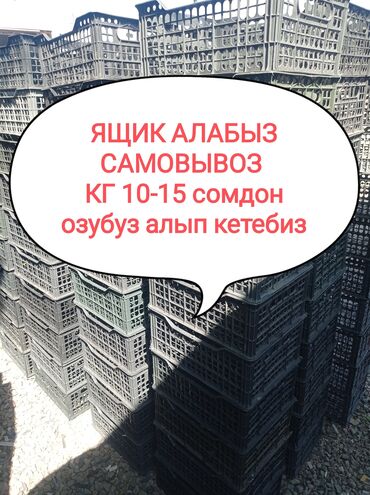 принемаем пластик: Пластик кабыл алуу