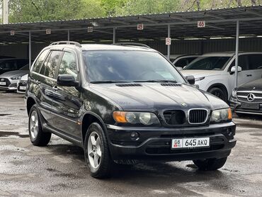 AUTOAGENT TILEK: BMW X5: 2002 г., 3 л, Автомат, Бензин, Жол тандабас