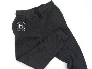 spodnie w góry: Sweatpants, Harry Potter, 12 years, 152, condition - Good