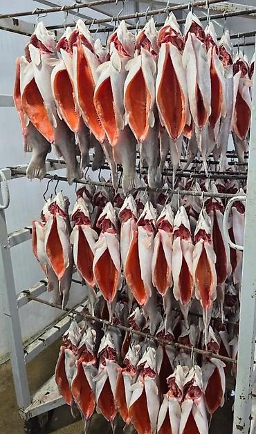 инкубатор икры: Икра, форель и халяльная домашняя куриная продукция. - Икра — 2000 — 8