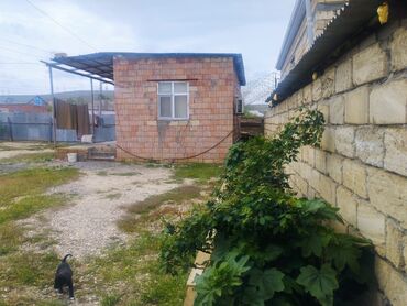 Uzunmüddətli kirayə mənzillər: Şirvan şəhəri .Maşurt xəttinə cəmi 2 dəqiqəlik məsafədə, sakit və — 11