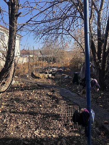 Продажа коттеджей и домов: Продается дом! Со всеми удобствами! Участок 8 сот. В доме 3 ком. Кухня at lalafo.kg — 18 Продажа коттеджей и домов: Продается дом! Со всеми удобствами! Участок 8 сот. В доме 3 ком. Кухня — 18