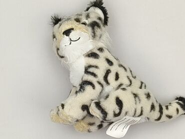 Mascot condition - Very good