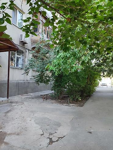 Продажа квартир: 3 комнаты, 56 м², Молодая Гвардия 104 серия, 1 этаж, Косметический ремонт at lalafo.kg — 11 Продажа квартир: 3 комнаты, 56 м², Молодая Гвардия 104 серия, 1 этаж, Косметический ремонт — 11