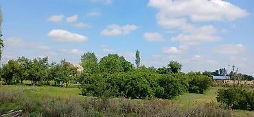 Bağ evlərinin satışı: Göyçay, 100 kv. m, 2 otaqlı, Hovuzsuz — 2