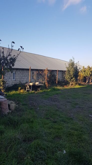 Torpaq sahələrinin satışı: 1000 sot, Kənd təsərrüfatı, Makler, Kupça (Çıxarış) — 8