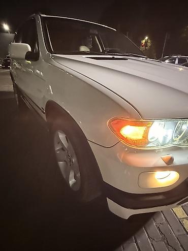 BMW: BMW X5: 2004 г., 3 л, Автомат, Бензин, Кроссовер — 15