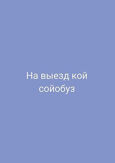 дойный коровы: Выездной кой соёбуз (кошерный забой скота на дому) - Услуги выездного — 1
