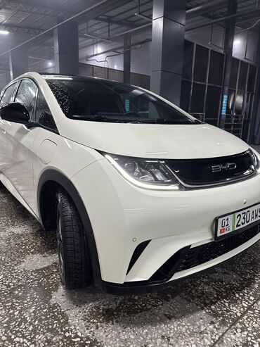 BYD: BYD Dolphin: 2023 г., Автомат, Электромобиль, Хэтчбэк — 2