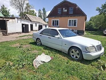 сидения ман: Mercedes-Benz S-Class: 1996 г., 3.6 л, Механика, Бензин, Седан — 2