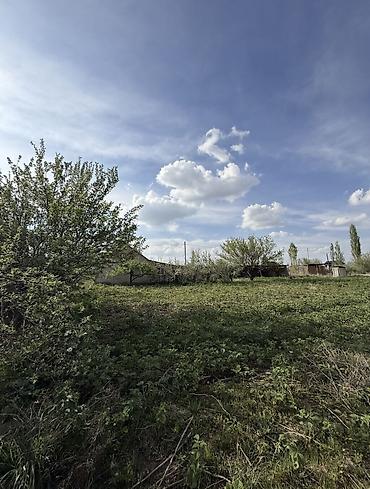 бишк: 8 соток, Для строительства, Красная книга, Договор купли-продажи — 6