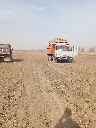 продаю эвакутор спринтер: Грузовик, Камаз, Стандарт, Б/у — 5